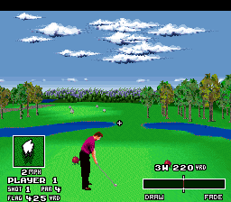 World Masters Golf (Europe) background