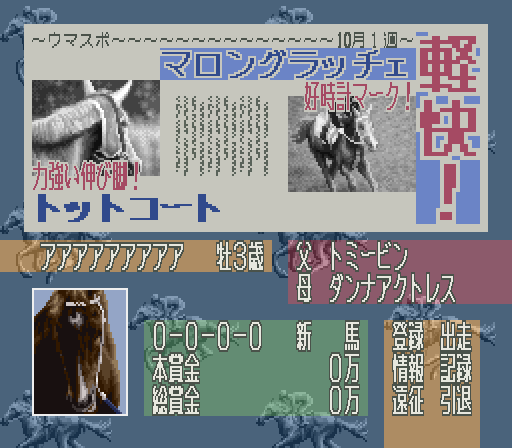 Leading Jockey (Japan) background