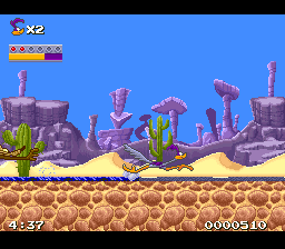 Road Runner's Death Valley Rally (USA) background