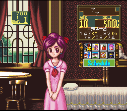 Princess Maker - Legend of Another World (Japan) background