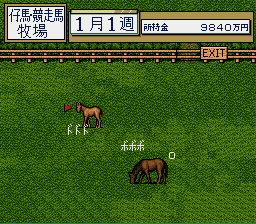 Thoroughbred Breeder (Japan) background