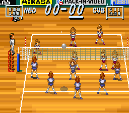 Multi Play Volleyball (Japan) background