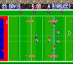 Tecmo Super Bowl (USA) background