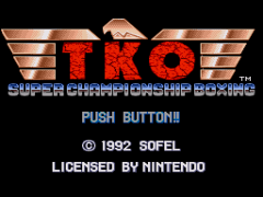 TKO Super Championship Boxing (USA) (Sample) background