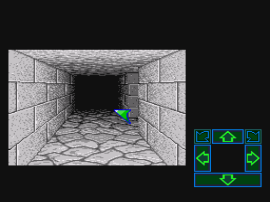 Dungeon Master (Japan) (Rev A) background