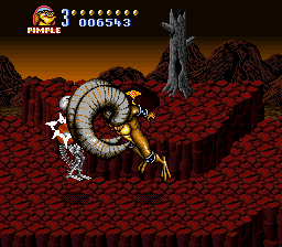 Battletoads in Battlemaniacs (USA) background