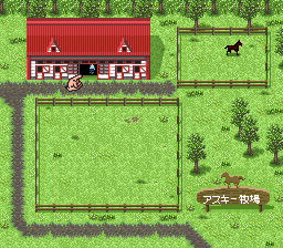 Derby Stallion III (Japan) (Rev B) background