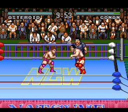 Natsume Championship Wrestling (USA) background