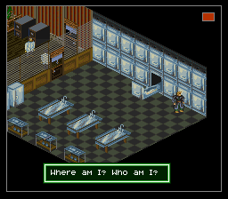 Shadowrun (Europe) background