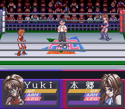 Bishoujo Wrestler Retsuden - Blizzard Yuki Rannyuu!! (Japan) background