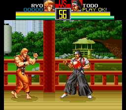 Art of Fighting (Europe) background