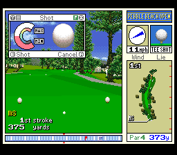 Pebble Beach Golf Links (USA) background