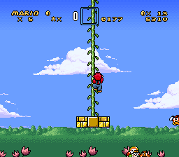 Luigi's Adventure OSE background