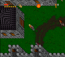 Ultima VII - The Black Gate (USA) background