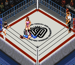 Super Fire Pro Wrestling - Queen's Special (Japan) background