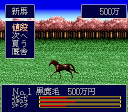 Jumpin' Derby (Japan) background