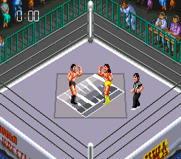 Super Fire Pro Wrestling III - Easy Type (Japan) background