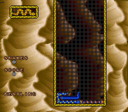 Wild Snake (USA) background