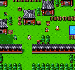Super Ninja Boy (USA) background