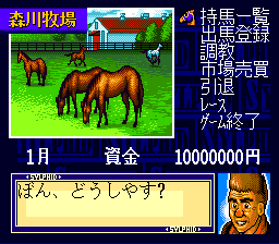 Super Kyousouba - Kaze no Sylphid (Japan) background