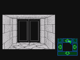Dungeon Master (Japan) background