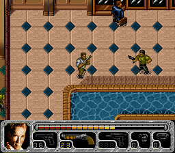 True Lies (USA) background